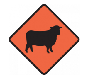 Sheep Stock Sign